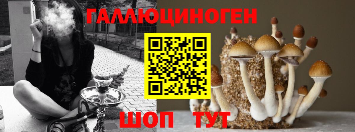 Фрязино  Галлюциногенные грибы мухоморы  Вход с VPN  Галлюциногенные грибы MAGIC MUSHROOMS 