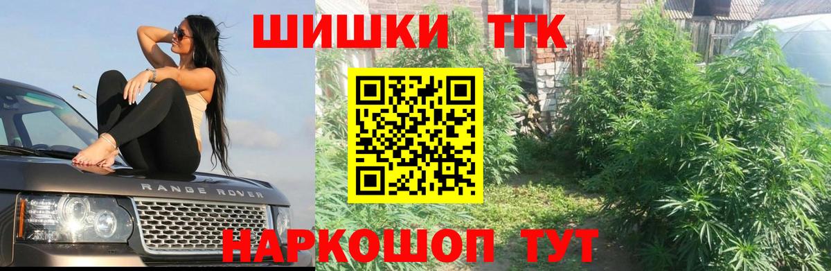 Бошки Шишки план Фрязино